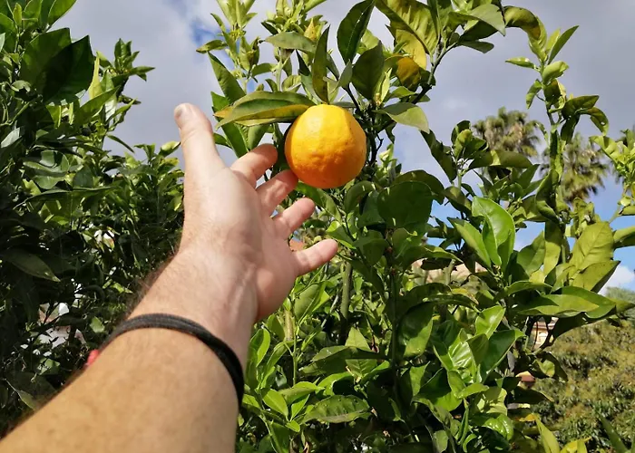 Bed & Breakfast La Vista Teror