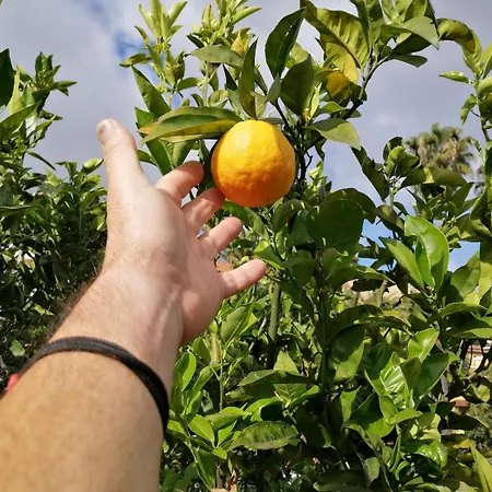 Oda ve Kahvaltı La Vista Teror